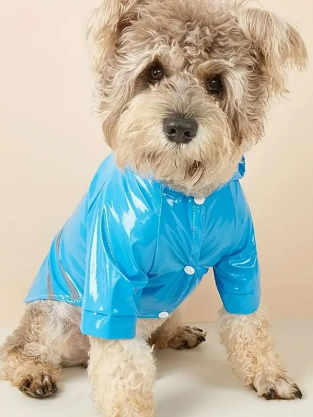 Blue Dog Raincoat Size L
